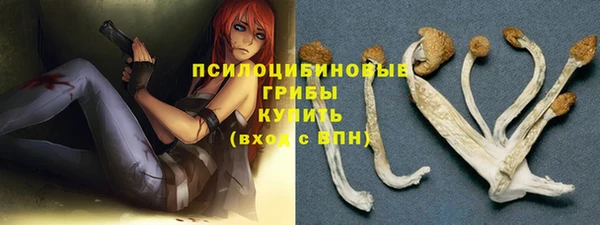 прущий лед Алексеевка
