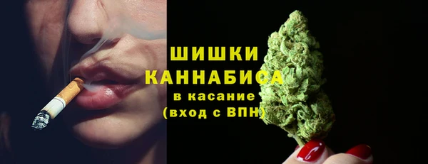 PSILOCYBIN Алзамай