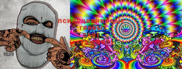 PSILOCYBIN Алзамай