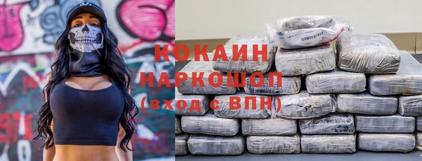 PSILOCYBIN Алзамай