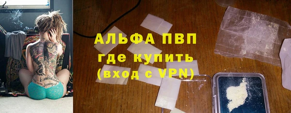 PSILOCYBIN Алзамай