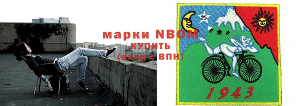 PSILOCYBIN Алзамай